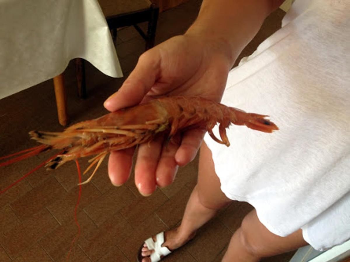 Гостевой дом Guest House Russian Home Тиват-39