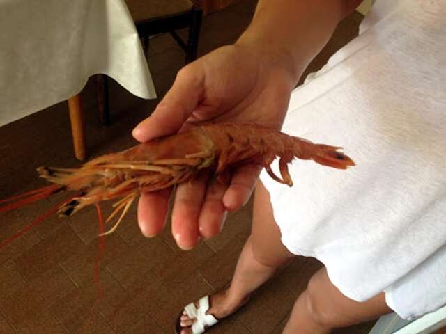 Гостевой дом Guest House Russian Home Тиват-38